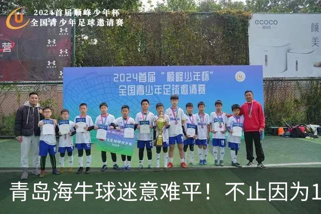 青岛海牛球迷意难平！不止因为1-5河南队，更多在于以下五点！