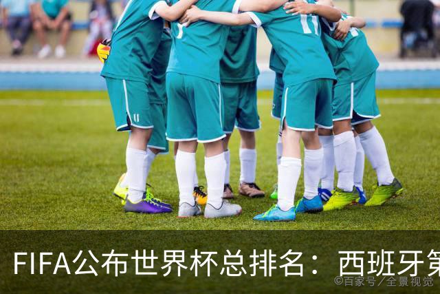 FIFA公布世界杯总排名：西班牙第1，巴西第11，荷兰、德国第17、18